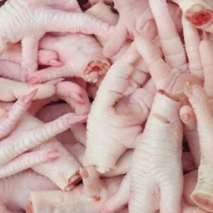 Fresh Chicken