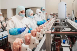 organic chicken breast